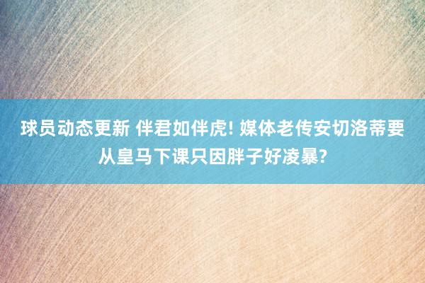 球员动态更新 伴君如伴虎! 媒体老传安切洛蒂要从皇马下课只因胖子好凌暴?