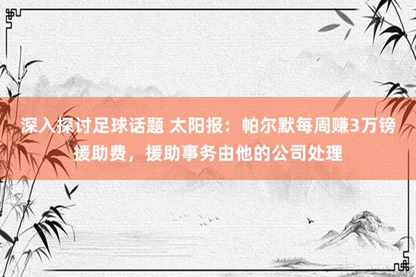 深入探讨足球话题 太阳报：帕尔默每周赚3万镑援助费，援助事务由他的公司处理