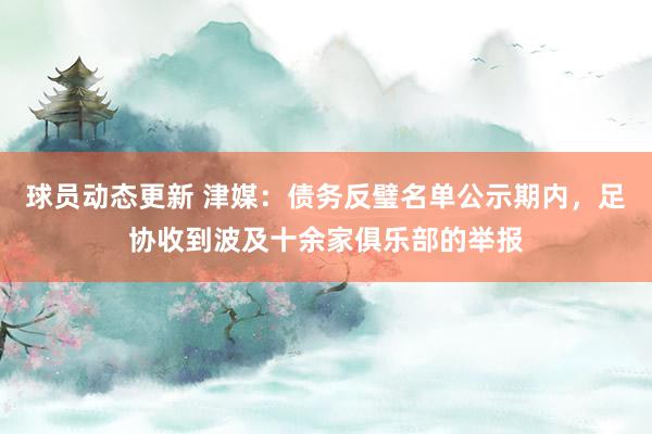 球员动态更新 津媒：债务反璧名单公示期内，足协收到波及十余家俱乐部的举报